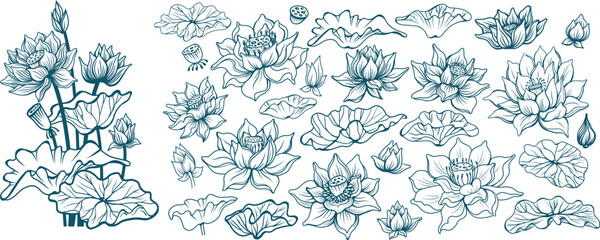 Set of Composition of Lotus Flowers and Floral Elements in Line Style