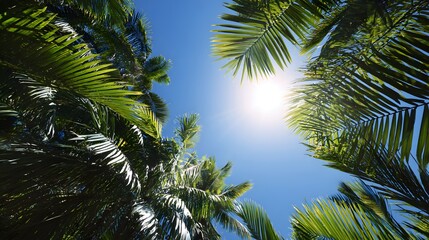 Fototapeta premium View of palm tree leaves against a clear blue sky with the sun shining.