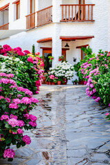 Pampaneira is a picturesque village located in the Alpujarras region of Granada province, Spain