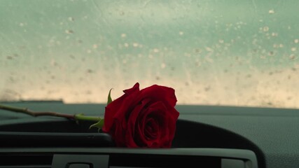 A red rose is depicted on the dashboard of the car, raindrops run down the windshield. The flower is in focus in the foreground.