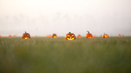 Pumpkin lanterns in a foggy field.
