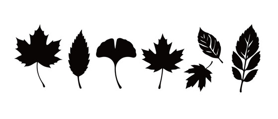 Obraz premium A detailed collection of black silhouettes of various autumn leaves, including maple, ginkgo, and other deciduous trees, perfect for seasonal designs, backgrounds, and patterns.