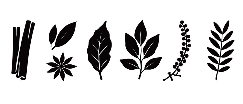 A creative vector set of black silhouettes of various spices and herbs, including cinnamon sticks, bay leaves, star anise, and peppercorns, perfect for culinary and organic-themed designs.