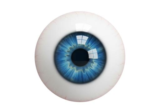 Vibrant Blue Eyeball Isolated. Detailed Human Eye Globe 3D Render on Clean White Background for Vision, Health & Technology Concepts.