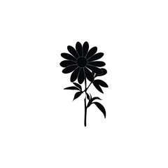 Flower silhouette black 
