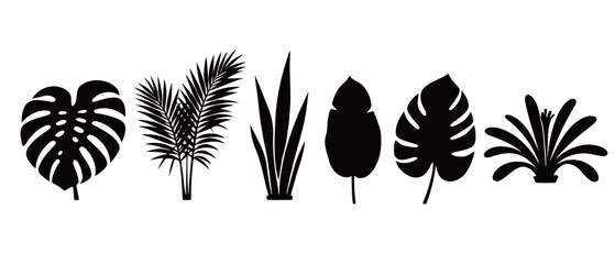 A creative collection of black silhouettes of various tropical and exotic plants, including monstera and palm leaves, ideal for creating summer-themed backgrounds and designs.