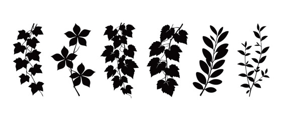 A set of black silhouettes of climbing and hanging vines with leaves, perfect for creating botanical patterns, decorative borders, and natural-themed design elements.