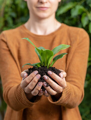 Person Holding a Small Plant with Soil in Their Hands Symbolizing Environmental Awareness
