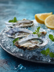 Freshly harvested oysters served on ice with lemon and mint garnish