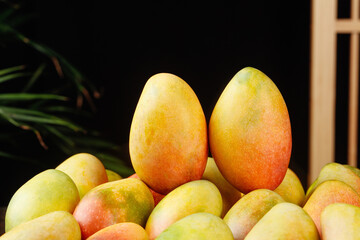 Fresh Guifei Mangoes from Hainan - Tree-Ripened Tropical Fruit Display with Vibrant Yellow Orange Colors
