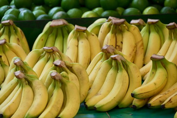 Multiple fresh banana bunches in varying ripeness stages from green to yellow, densely arranged at fruit market with green limes visible in blurred background.