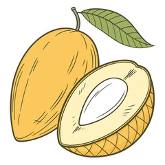 Illustration of a ripe mango fruit, one whole and one cut in half, showcasing its juicy flesh and seed, perfect for healthy eating and tropical fruit themes