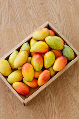 Fresh Tree-Ripened Hainanese Mangoes in Wooden Crate - Tropical Fruit Display
