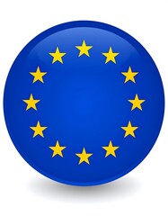 European Union flag button