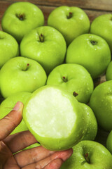 Fresh Green Apples from Shaanxi Province - Sweet Crisp Tree-Ripened Fruit Hand Picked for Quality