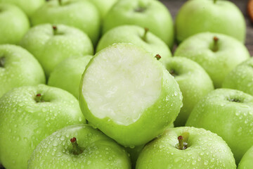 Freshly Picked Green Apples from Shaanxi China with Water Drops Tree-Ripened Fruit
