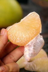 Fresh Peeled Pomelo Segment in Hand - Juicy Sweet Tropical Citrus Fruit Ready to Eat