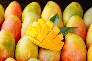 Fresh Hainan Tree-Ripened Mangoes with Cut Fruit Showing Golden Toffee-Colored Flesh