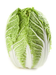 Fototapeta premium Fresh Napa Cabbage Head Isolated on White Background - Healthy Green Vegetable for Cooking