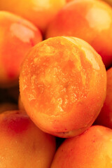 Fresh Xinjiang Apricots with Water Droplets on Wood - Chinese Stone Fruit Close-up