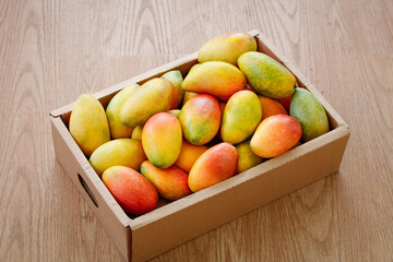 Fresh Tree-Ripened Mangoes in Wooden Crate - Tropical Fruit Harvest Display