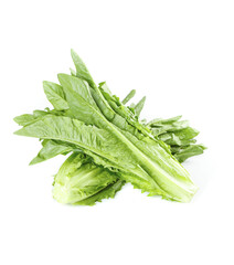 Fresh Romaine Lettuce Leaves Bundle Isolated on White Background