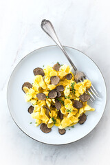 Black truffle ravioli on the white. Italian autumn and winter recipes. Autumn gourmet cuisine of Piedmont, Northern Italy, France, Spain