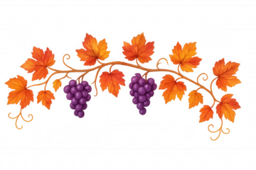 Watercolor painting of a vine branch with ripe purple grapes and colorful autumn leaves, isolated on a transparent background
