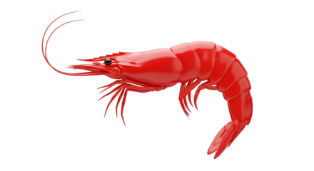 A glossy red shrimp a symbol of vibrant cuisine and ocean s bounty stands out dramatically on transparent background