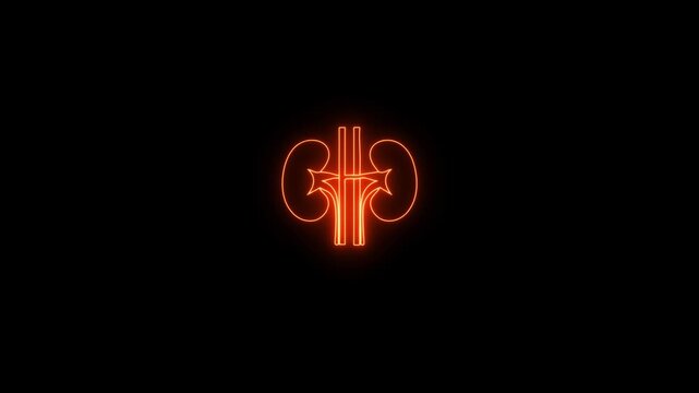 Neon kidney icon animation video.