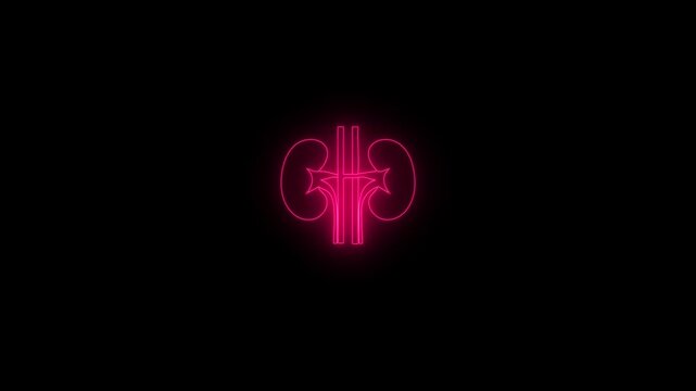 Neon kidney icon animation video.