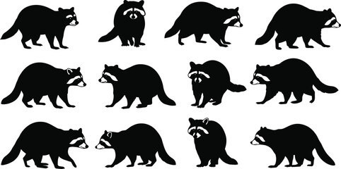Raccoon silhouettes in various walking, standing, and sitting poses with distinctive facial markings, black wildlife vector icons, forest animal design colle