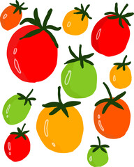 Assortment of colorful tomatoes hand drawn illustration