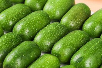 Fresh Mini Cucumbers with Water Droplets - Healthy Organic Vegetables