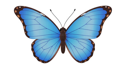 Isolated Blue Morpho butterfly with brown markings on the wings against no background