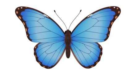 Isolated Blue Morpho butterfly with brown markings on the wings against no background