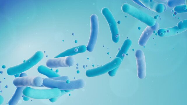 Prebiotic or probiotic medical background bacteria, Lactobacillus , 3d animation.
