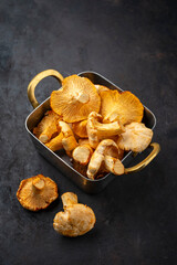 Fresh chanterelle mushrooms fungi offered as close-up in a copper casserole on a black rustic board