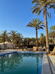 Visitors enjoy the tranquil atmosphere of an oasis in Tunisia with a beautiful swimming pool framed by palm trees under a sunny sky. Perfect for leisure and relaxation.
