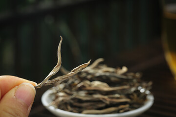 Hand Holding Dried Puerh Tea Leaf with Ancient Black Tea Leaves on Plate - Premium Mountain Plantation Quality