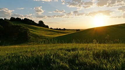 Fototapeta premium Sunset light washes over rolling green hills and tall grass, with scattered trees and a sky of glowing clouds.