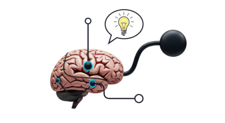 Isolated Illustration of Brain with Light Bulb Idea for Creativity and Neuroscience Study