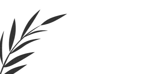 Leaf isolated on transparent background. Design elements PNG