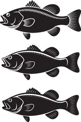 Three black silhouettes of bass fish aquatic
