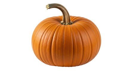 Isolated Pumpkin
