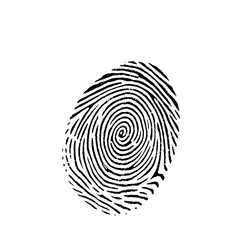 Detailed Fingerprint Image: Black and White Spiral Pattern on White Background