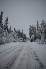 snow covered road