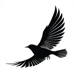 Obraz premium A black silhouette of a bird soaring through the air, its wings fully extended against a white background