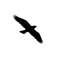 Obraz premium Minimalist vector silhouette of a bird fly