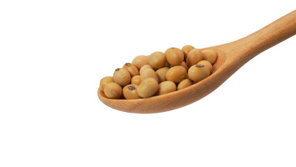 Close-up of soybeans in a wooden spoon isolated on white background, organic legume, healthy ingredient, and plant-based protein source.